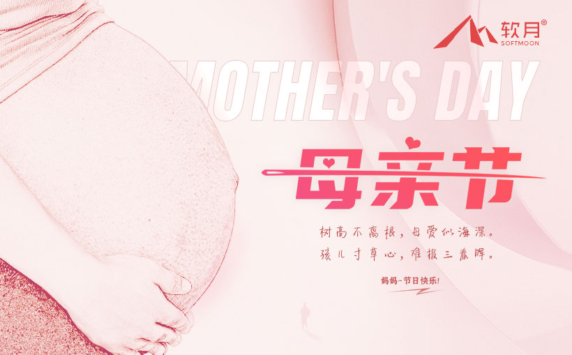2024南京软月母亲节海报